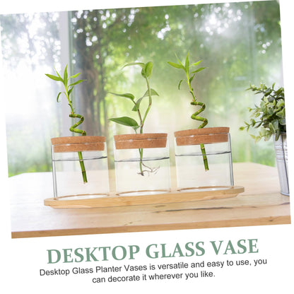 Sosoport Glass Plant Vase for Terrarium Air Plant Holders Houseplants Hydroponics Planting Vase