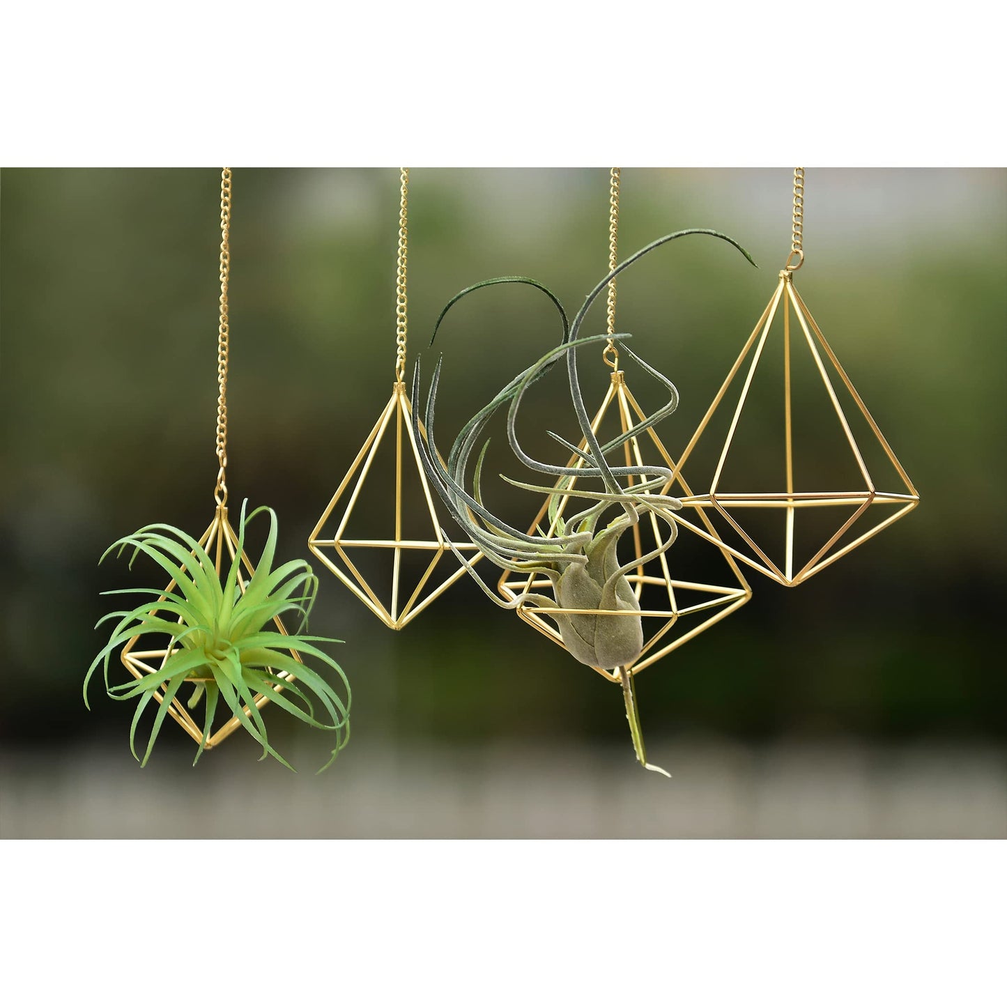 libproqia 4 Pcs Geometric Himmeli Air Plant Holders - Metal Tillandsia Display Hangers with Chains, 2 Sizes (Small & Large) - Gold Home Decor, Housewarming Gift, Boho Wall or Ceiling Hanging Planter