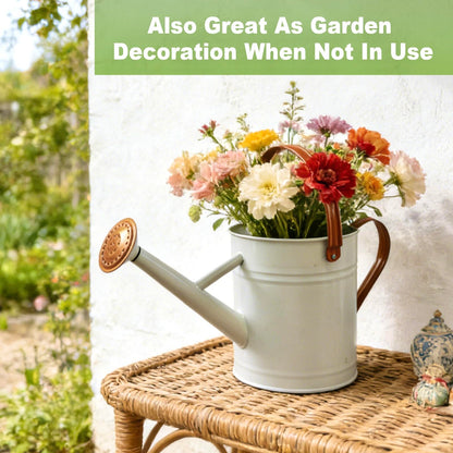 Watering Can for Outdoor&Indoor Plants，1 Gallon Metal Watering Can with with Removable Spout，Galvanized Steel Garden Flower Water Can Plant Watering Pot with 2 Handles，White