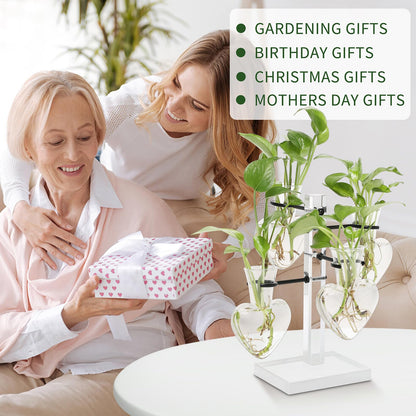 YYHglass Clear Plants Propagation Stations Terrarium Kit Birthday Gift for Women for Indoor Home Office Decor Acrylic Plant Accessories - 4 Love Hear Vase