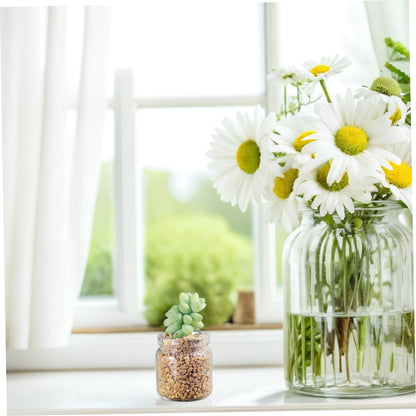 POPETPOP 10pcs Mini Succulent Glass Bottle Landscape Bottle Decoration Terrarium for Air Plants Test Tube Vials Micro Landscape Eco