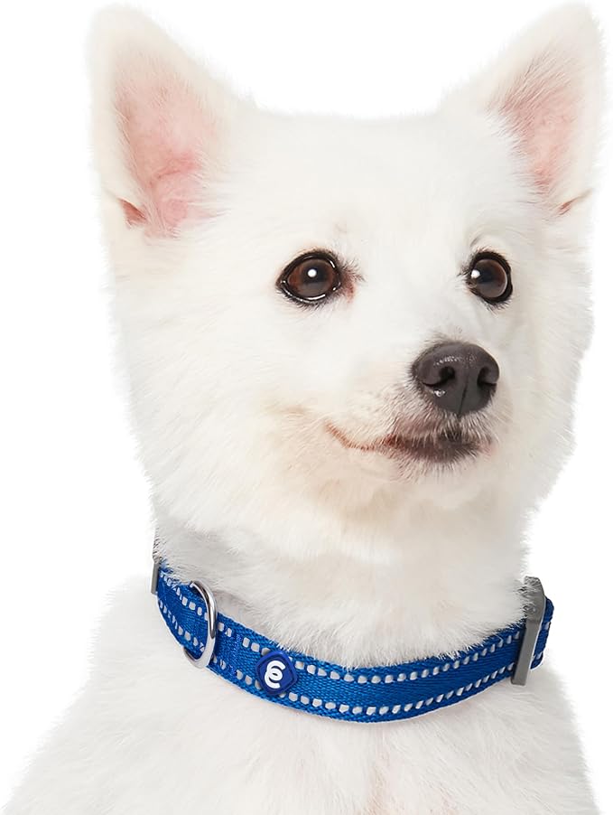 Blueberry Pet Essentials Reflective Dog Collar & Leash Set, Adjustable for Medium Dogs | Safe Walking Gear for Pet Parents, Puppy Training & Daily Use MediumDogs, Navy