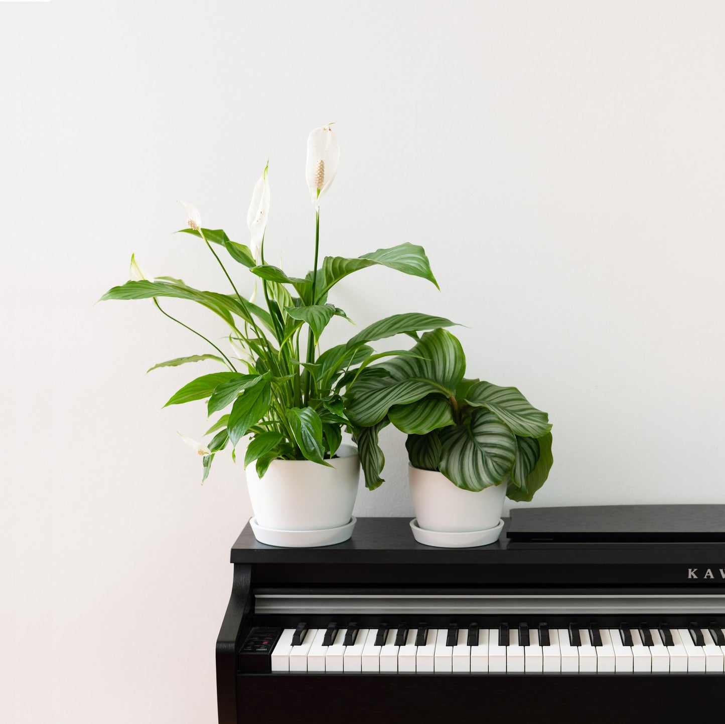 Kin 'n' Kind Set of 2 Minimalist Plant Pots (6.5" & 5.5") – Modern Indoor Planters with Drainage & Saucers & Plugs – Durable Eco-Conscious Composite, Indoor/Outdoor - Ventura Mist White