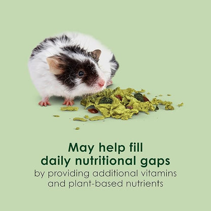 Kaytee Super C Greens, Daily Food Topper with Superfoods for Small Animal Pets, Contains Long-Lasting Vitamin C for Immune Support, 2.75 Ounces