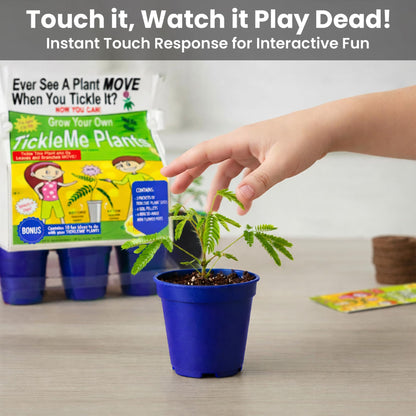 TickleMe Plant Deluxe Family Greenhouse Kit - Grow the Playful Plant that Closes Its Leaves When Tickled! Includes Mini Greenhouse, 3 Seed Packets, Soil Pellets & Pots - Fun Indoor Gardening Gift