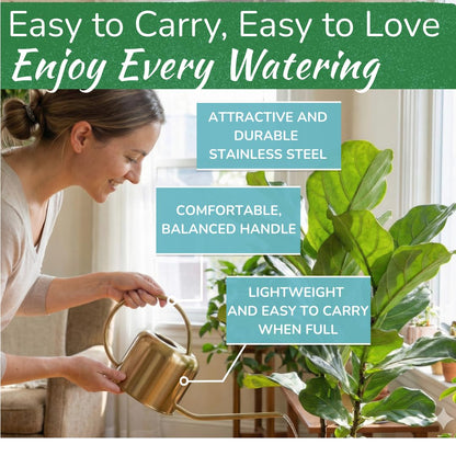 Stainless Steel Watering Can for Houseplants by Houseplant Resource Center | 1L Capacity for Indoor/Outdoor Plants in Brushed Silver