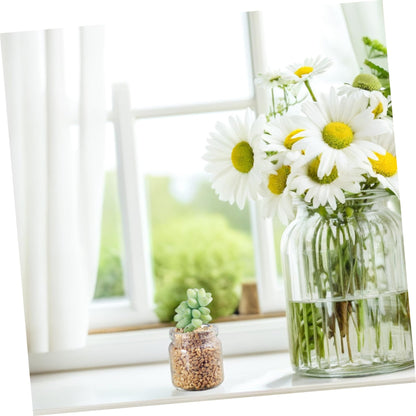 Mipcase 10pcs Mini Glass Bottles Succulent Landscape Decor Test Tube Vases Micro Terrariums for Plant Propagation