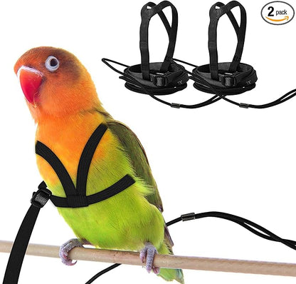 2 pcs Pet Parrot Bird Harness and Leash, Adjustable Training Design Anti-Bite, Outdoor Flying Training Rope Kit for Bird Parrots Fits Birds Chest Between35-62cm /13.78-24.41inch - L (Black)