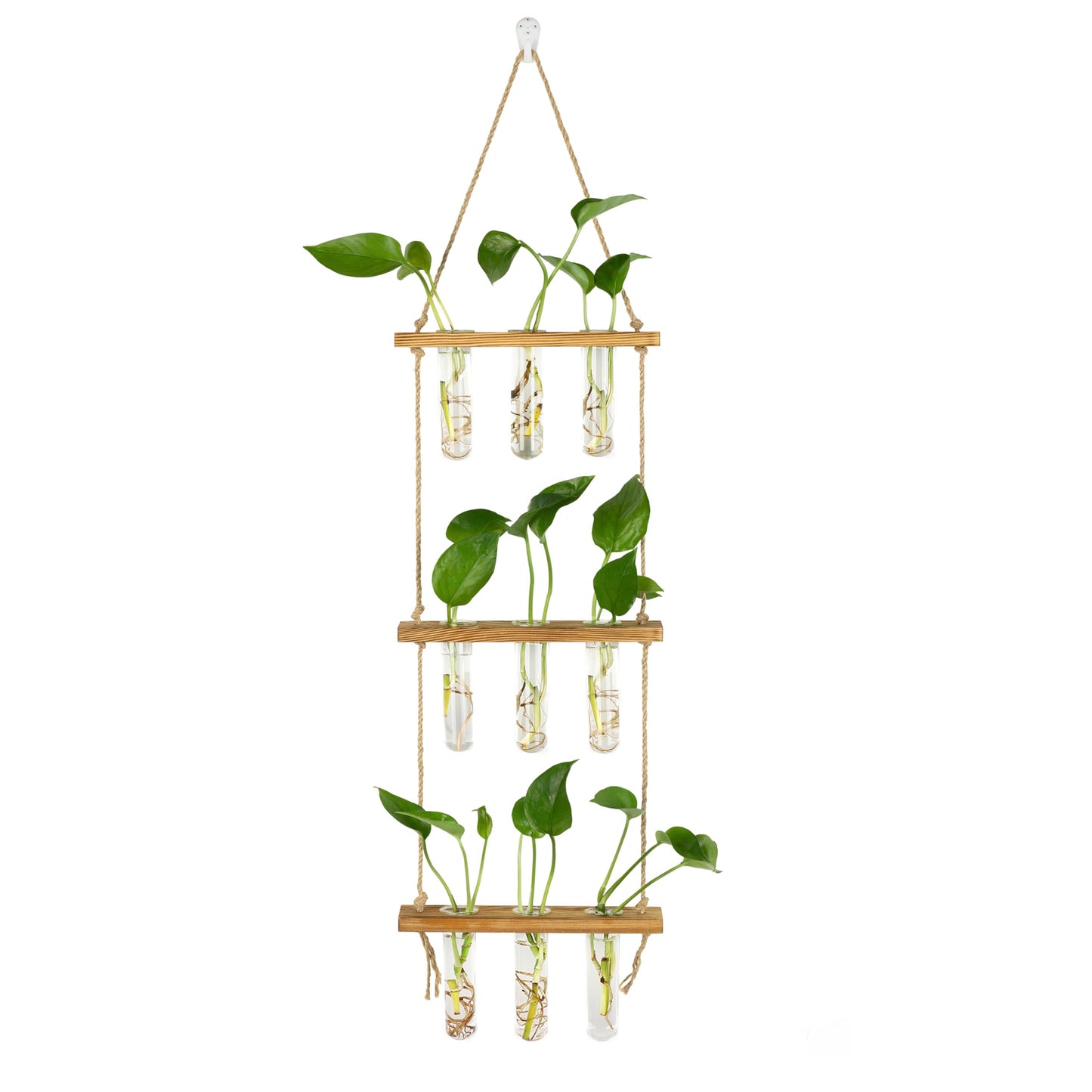 Hyindoor Wall Hanging Propagation Stations 3 Tired Wall Planter Terrarium with Wooden Stand and Glass Test Tubes Plant Hanger Flower Vase for Home Office Wall Decor Hydroponic Cuttings