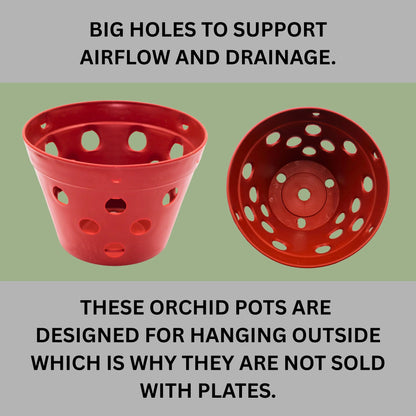 DESQUIGGLE Set of 8 Strong Thick Plastic Hanging Orchid Pots with Holes and Hangers. 2 Each of 9 Inches Wide, 7.5 Inches, 6.5 Inches, 5.5 Inches, Orchid Pots for Repotting, Orchid Planters