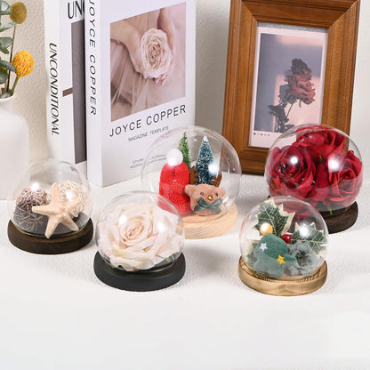M METERXITY Cloche Glass Dome, D4.7In Ball Jar with Wooden Base for DIY Snow Globes/Small Plants/Flowers/Candles/Models/Souvenirs, Glass Display Case [White]