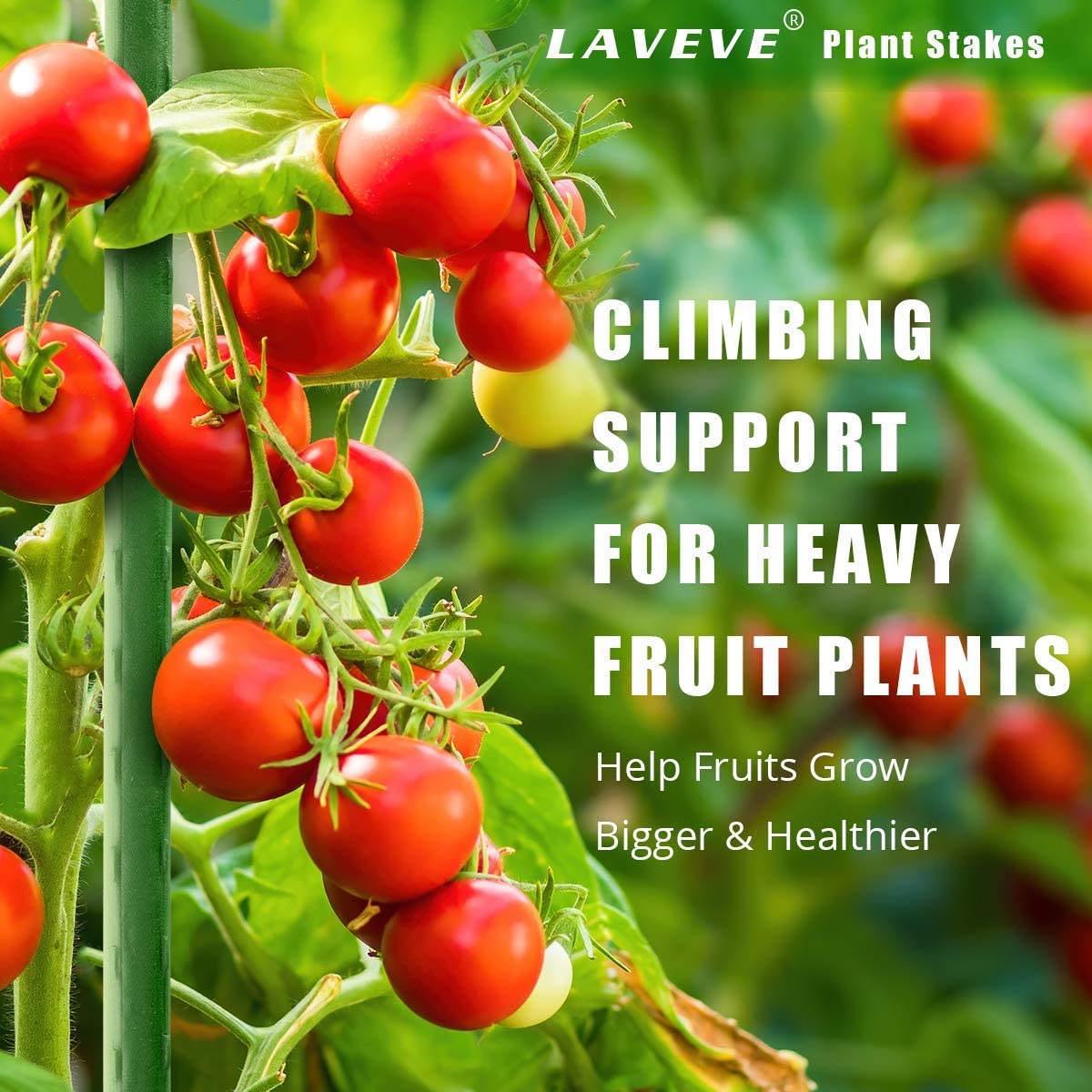 LAVEVE Garden Stakes 48 Inches Heavy Duty Steel Tomato Stake, Plastic Coated Support for Securing Trees, Climbing Plants, Cucumber, Beans, Pack of 40