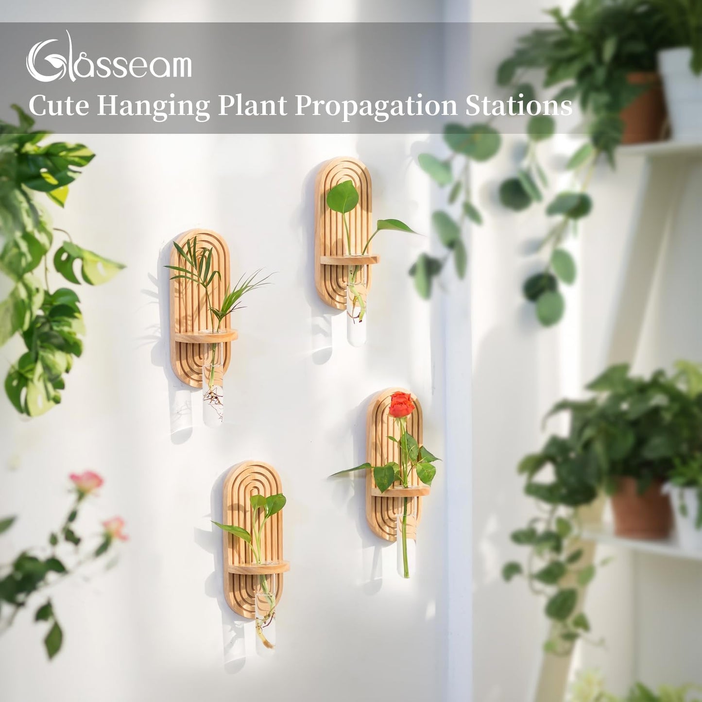 Glasseam Propagtion Stations for Wall Decor: 4pcs Boho Hanging Glass Propagation Vases for Plants and Flowers - Indoor Wood Wall Planter with Test Tube for Living Room Entryway Office Home Decor