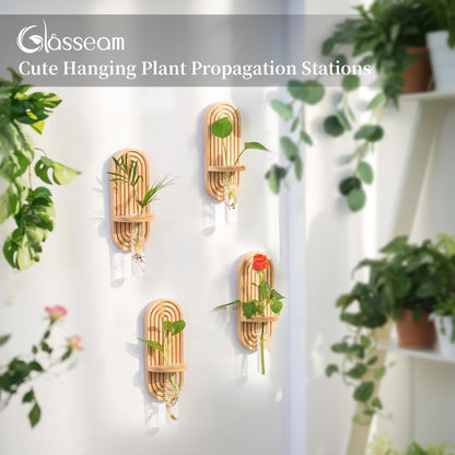 Glasseam Propagtion Stations for Wall Decor: 4pcs Boho Hanging Glass Propagation Vases for Plants and Flowers - Indoor Wood Wall Planter with Test Tube for Living Room Entryway Office Home Decor