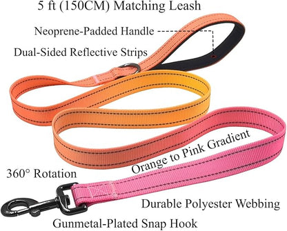 Dog Collar Leash Set, Gradient Color, with Safety Reflective Strips, 5 ft Matching Leash, Neoprene Padded Handle, Adjustable 4 Sizes for Small Medium Large Dogs.(L, Orange Pink)