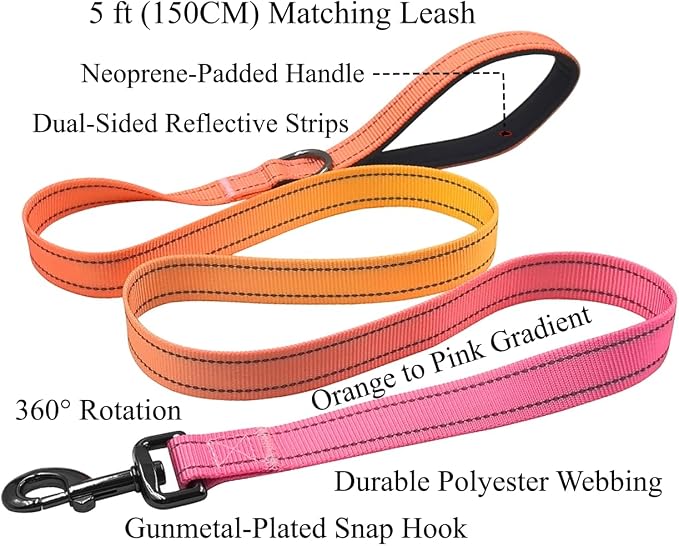 Dog Collar Leash Set, Gradient Color, with Safety Reflective Strips, 5 ft Matching Leash, Neoprene Padded Handle, Adjustable 4 Sizes for Small Medium Large Dogs.(M, Orange Pink)