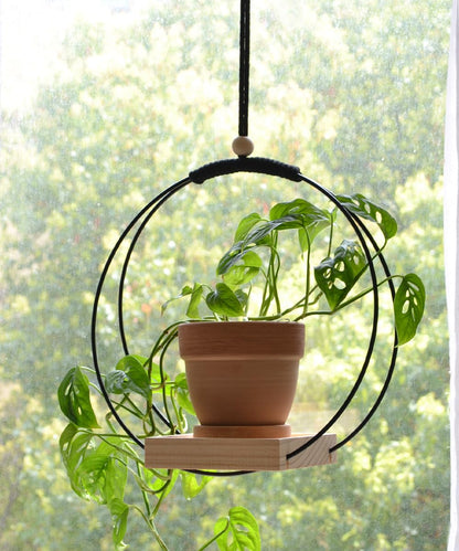 Dravmola Plant Hanger with Wood Base - Boho Macrame Hanging Plant Holder for Indoor Plants Hanging Planter for Wall /Window/Room Decor Black (Pot & Plant Not Included)