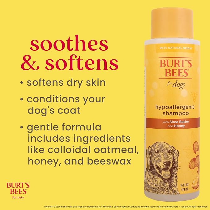 BURT'S BEES FOR PETS Hypoallergenic Dog Shampoo with Shea Butter and Honey, Gentle Fragrance Free Shampoo for Sensitive Dogs with 95% Natural Origin Skin and Coat Formula, 16 Fl Oz - 6 Pack