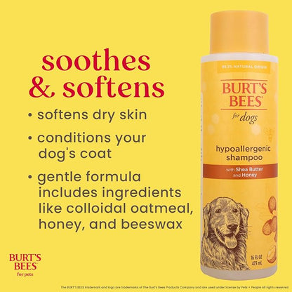 BURT'S BEES FOR PETS Hypoallergenic Dog Shampoo with Shea Butter and Honey, Gentle Fragrance Free Shampoo for Sensitive Dogs with 95% Natural Origin Skin and Coat Formula, 16 Fl Oz - 6 Pack