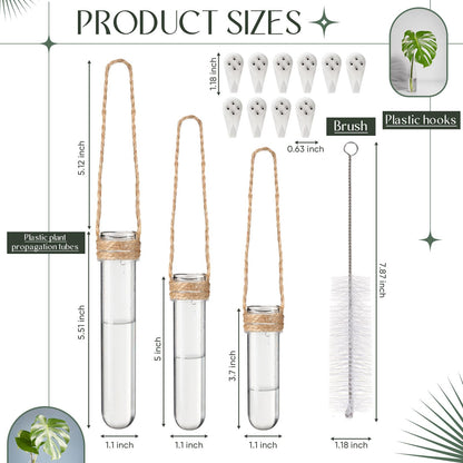 Baderke 12 Pack Wall Hanging Propagation Station Plastic Test Tubes Planters Wall Terrarium for Home Office Plant Hanger Flower Vases Hydroponic Cuttings Office Garden Flowers Walls Decor Lover Gift
