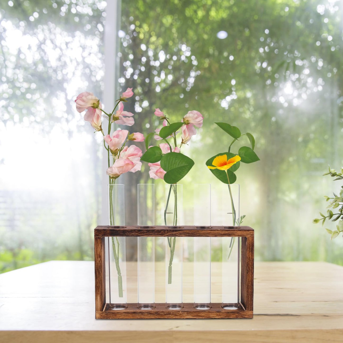 GLEAVI Glass Test Tube Vase Hydroponic Planter Large Glass Container for Water Planting and Air Plant Terrarium Home Décor