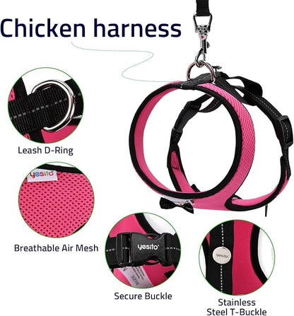 Adjustable Chicken Harness & Diaper with 5.4ft Leash | Escape-Proof Breathable Mesh | Outdoor Walking Training for Hens Ducks & Chicks | Stop Droppings & Feather Mess