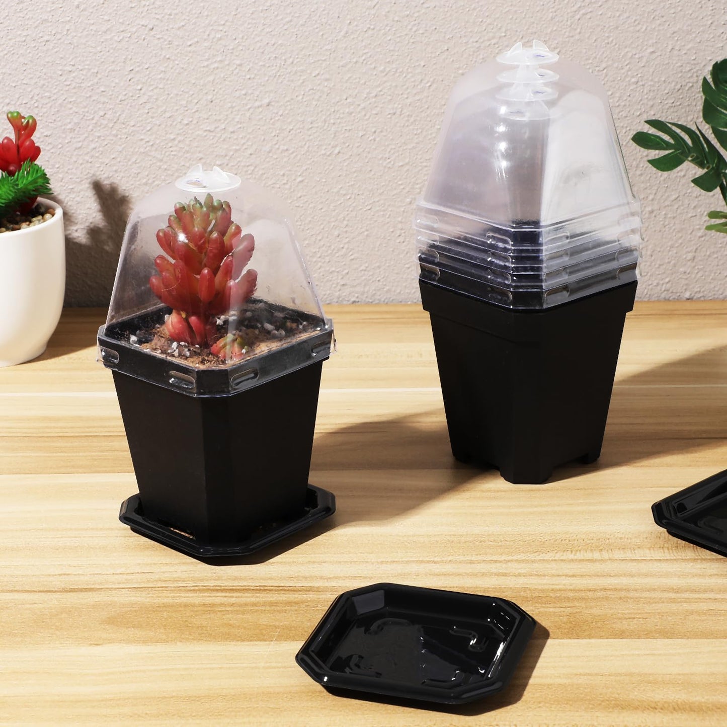 LIOOBO Black Plant Nursery Pots: 5Pcs Seeding Starter Pots, 3 Square Nursery Pot with Humidity Dome, Plastic Plant Container for Garden Vegetable Flower Germination