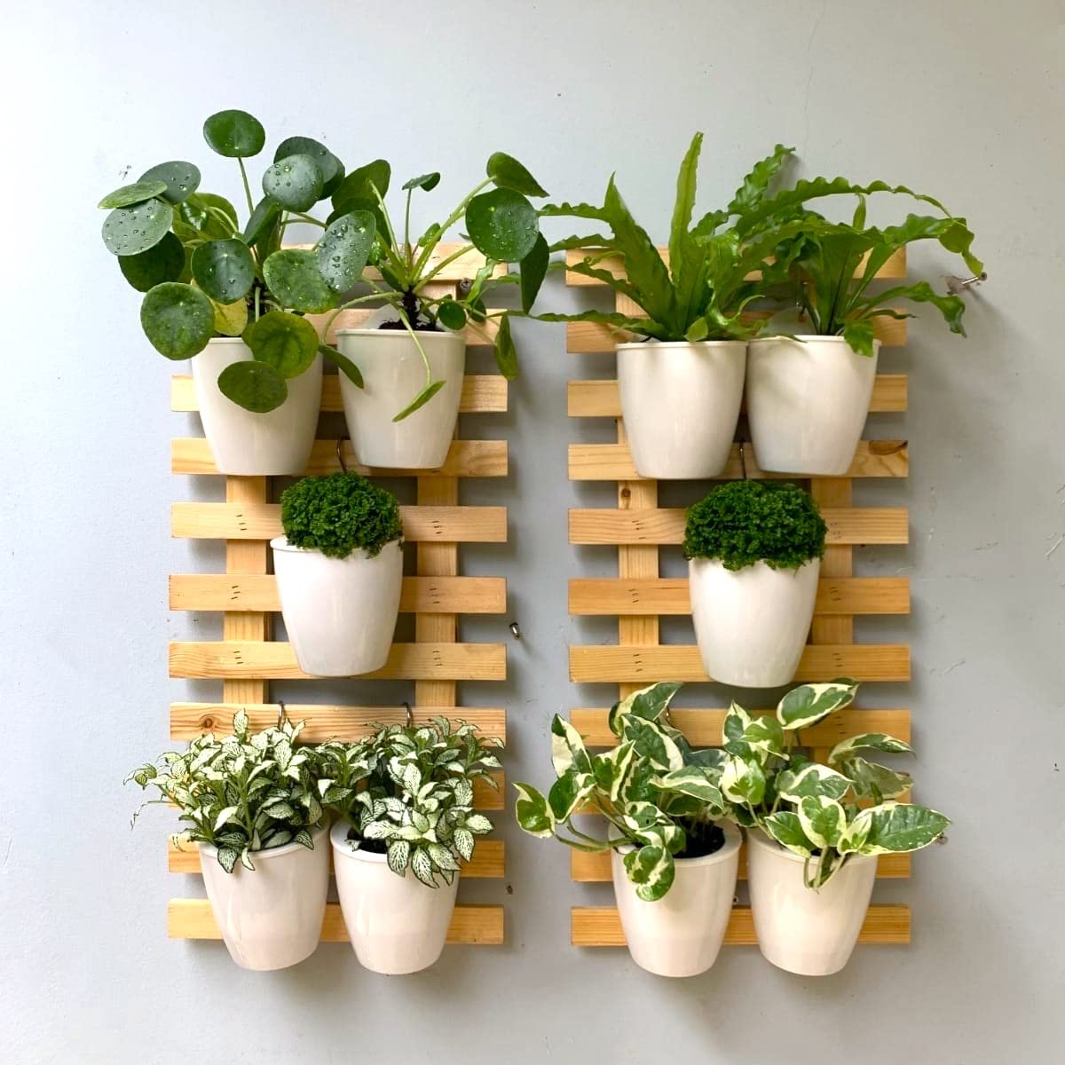 LaLaGreen Bundle - 4" x 10 Pack + 4" x 10 Pack Black and White Self Watering Plastic Pots Wall Mount Plant Holder, Modern Hydroponic Wall Hanging Pot Vertical System Living Plant Wall Garden