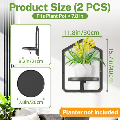 iDavosic.ly Wall Plant Picture Frame Holder Set of 2 for Indoor, Metal Stand with Hanging Hooks, Floating Flower Display Home Decor, Space Saving & Easy to Assemble (Pots/Chains/Plants Not Included)