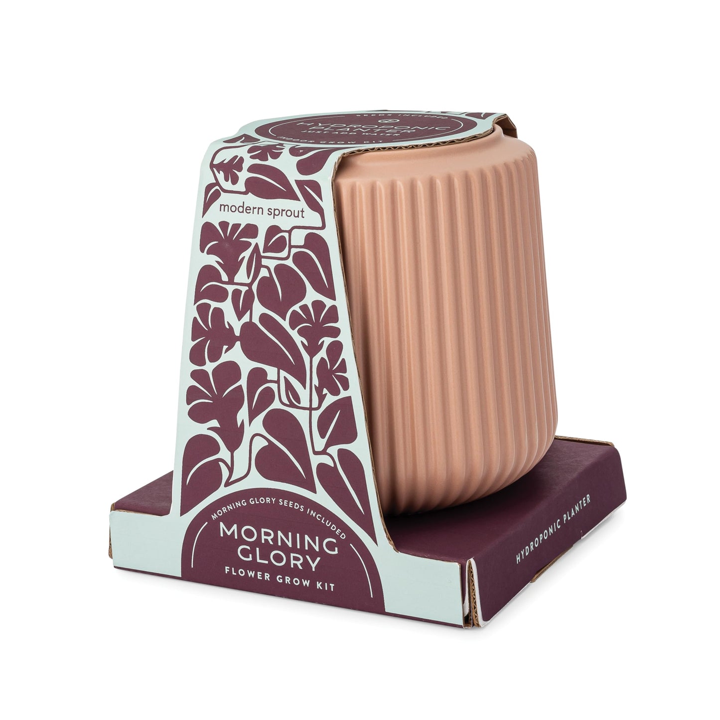 Modern Sprout Flower Grow Kit - Ceramic Planter with Indoor Hydroponics Growing System Kit Ideal for Living Room Decor - Unique Gardening Gifts - Morning Glory Self Watering Flower Planting Kit