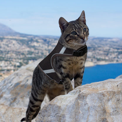 PATTEPOINT Escape Proof Mesh Cat Harness and Leash Set, Adjustable Walking Jacket Vest for Extra Kittens, Easy Control Reflective Cat Vest Harnesses for Small Medium Pets Outdoor (XS Coffee)
