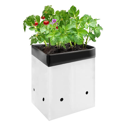 VIVOSUN 50-Pack 3 Gallon Grow Bags for Plants, Black-and-White Thick Plastic Bags for Potting Seedlings, and Rooting