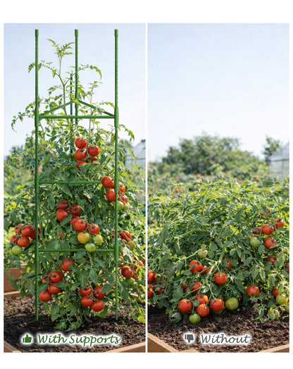 Growsun 51 inch Tomato Cage Heavy-Duty Plant Support Cucumber & Vine Vegetables – Adjustable Green Metal Garden Trellis for Climbing Plants, Indoor & Outdoor Use, 6 Pack