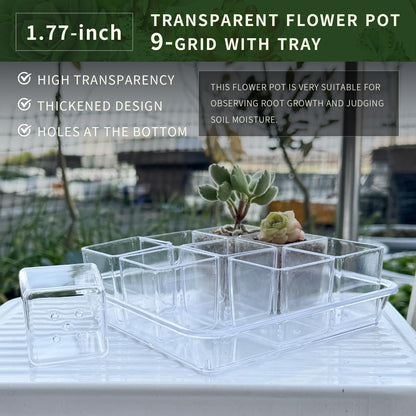 QCSMBFL 9pcs Mini Square Flower Pots, 1.7in Clear Plastic Planter with Drainage Hole - Lightweight Indoor Desktop Nursery Decorative Pot for Succulents, Cactus, Seedlings, Home Greenery