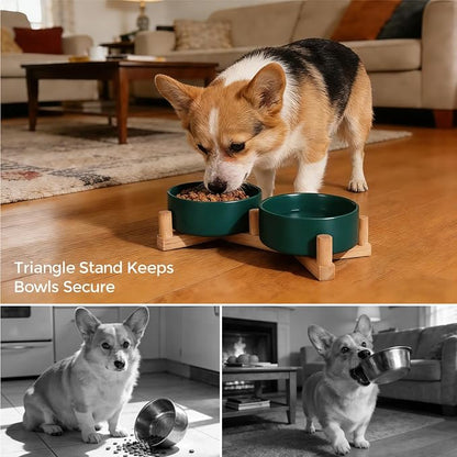 Elevated Ceramic Dog Bowls for Small Dogs, Raised Dog Bowl Set with Adjustable Wood Stand, Non-Slip Pet Feeding Station, Food & Water Bowls for Cats & Small Dogs 13.5 oz (Green)
