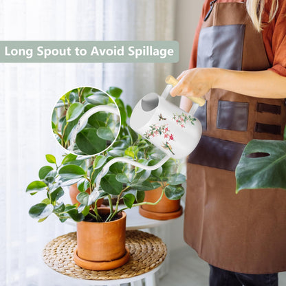 Watering Can Indoor Plants, 35oz Small Stainless Steel Metal Watering Can Modern Decorative Watering Pot with Long Spout for Indoor House Plant Bonsai Garden Flowers (White 1)