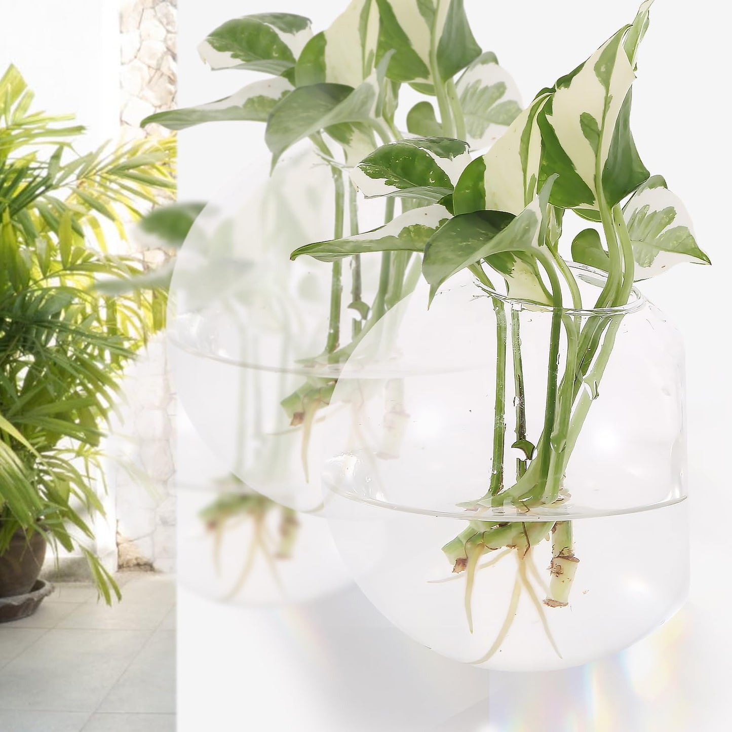 Hanging Wall Planters Pack of 6 Glass Plant Pots Round Wall Vases for Flowers Hanging Propagation Station Glass Plant Holder Wall Terrariums Plant Container