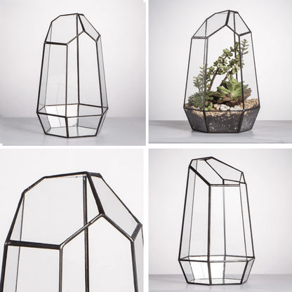 NCYP No Door Geometric Glass Terrarium Planter for Small Succulent, Small Cacti, Black Irregular Opened Terrarium Pot, Indoor Home Garden Office Tabletop Decor, 6.5" x 5.7" x 9.8" (No Plants)