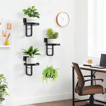 JOPBENG Wall Plant Holder, 7.9 Inch Hanging Plant Holder Wall Planters for Indoor Plants, Wall Mounted Plant Holder Window Plant Shelves for Outdoor Metal Wall Planter Black 2Pcs