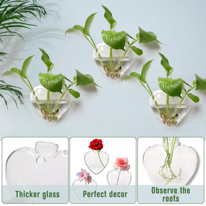 CYZglass Wall Hanging Planter Propagation Station for Indoor Plants Glass Vase Air Plant Holder Gift for Women Girlfriend Plant Lover