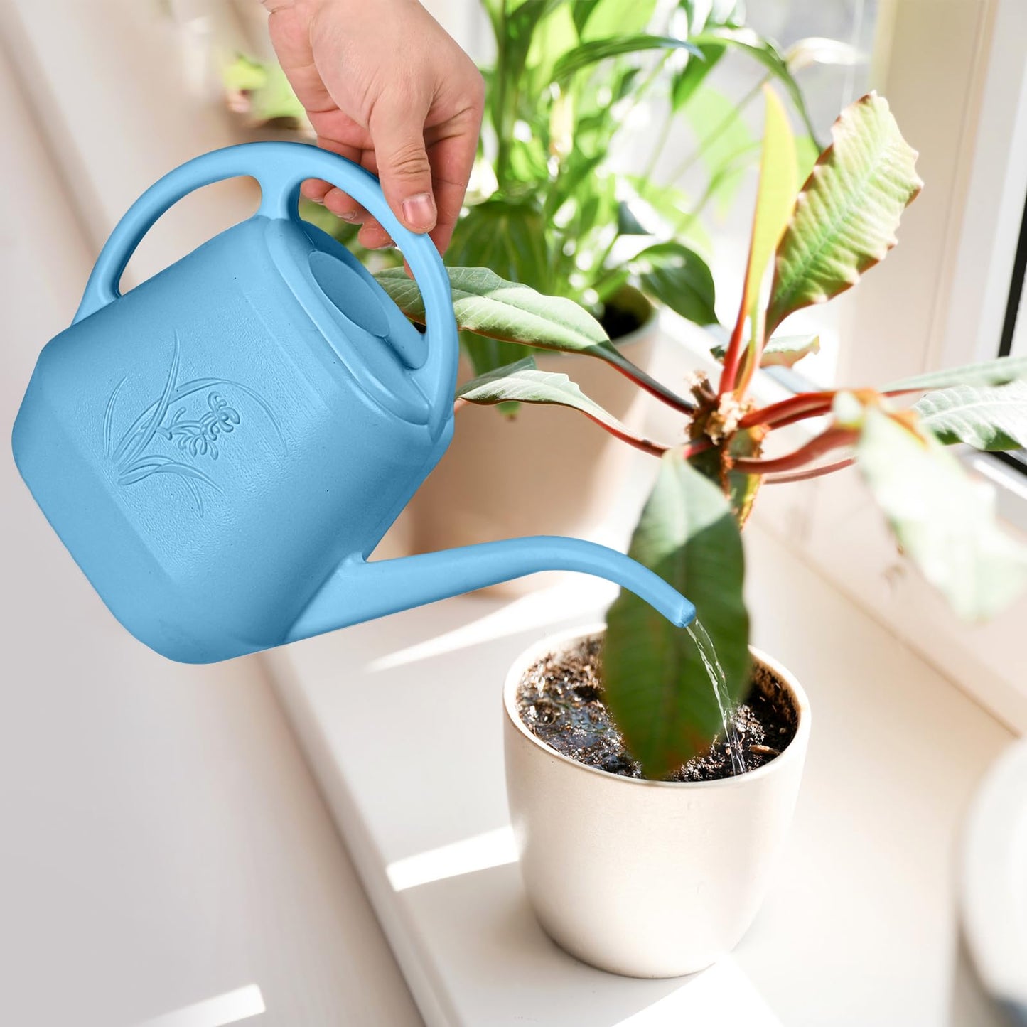 ZXJ Plant Watering Can - for Indoor and Outdoor Home Garden Plants - with Long Spout - Skye Blue - 1/2 Gallon