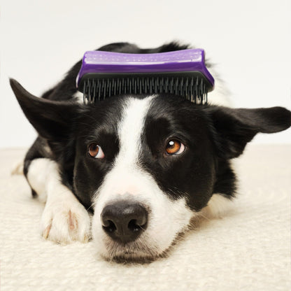 Pet Teezer De-Shedding Dog Brush by Tangle Teezer, Dog Grooming Tool for Long Haired Breeds and Wet or Dry Fur, Large, Purple & Gray