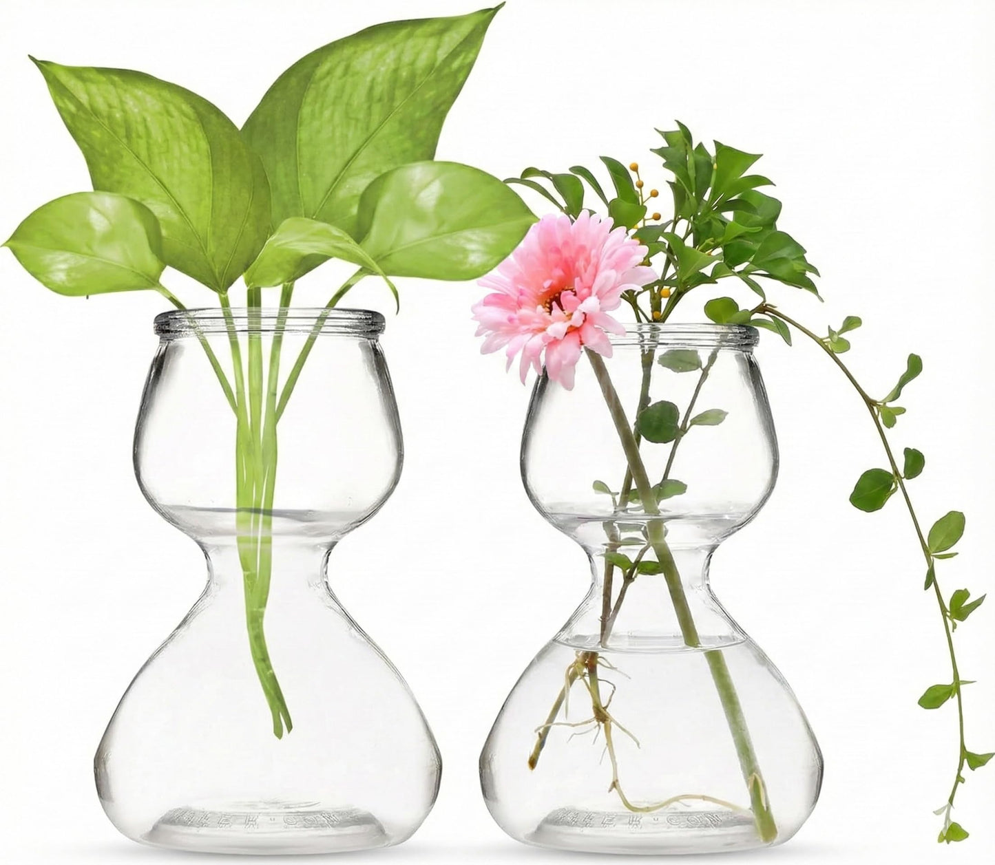 Garden Guru Plant Propagation Stations - Clear Glass Bud Vases Set of 2 - Mini Vases for Wedding Centerpieces, Cafe Décor, Tea Shop Displays - Small Hydroponic & Flower Vase