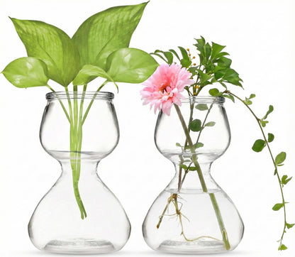 Garden Guru Plant Propagation Stations - Clear Glass Bud Vases Set of 2 - Mini Vases for Wedding Centerpieces, Cafe Décor, Tea Shop Displays - Small Hydroponic & Flower Vase
