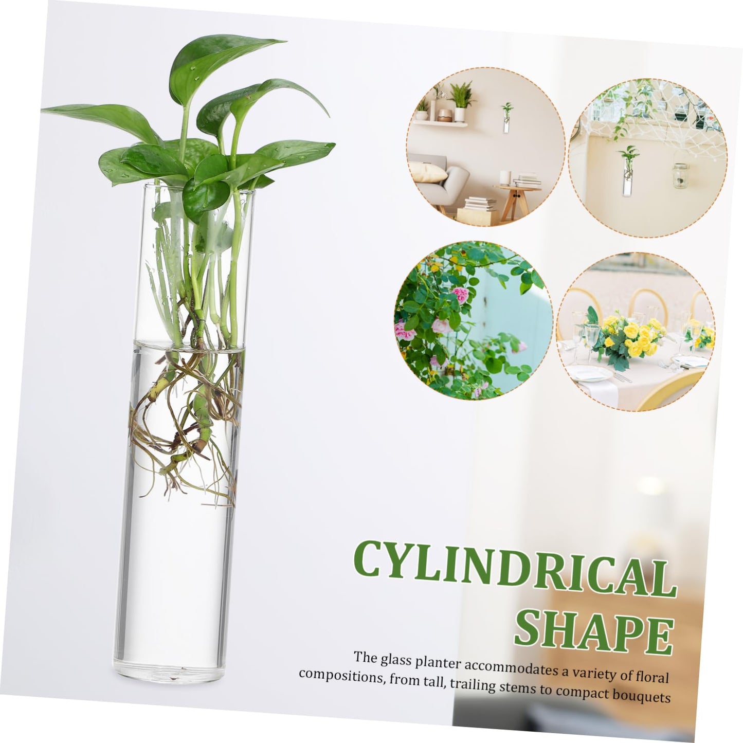 2pcs Clear Glass Cylinder Wall Vases Hanging for Indoor Plants Easy Mounted Flower Tubes Secure Attachment for Floral Arrangements and Terrariums