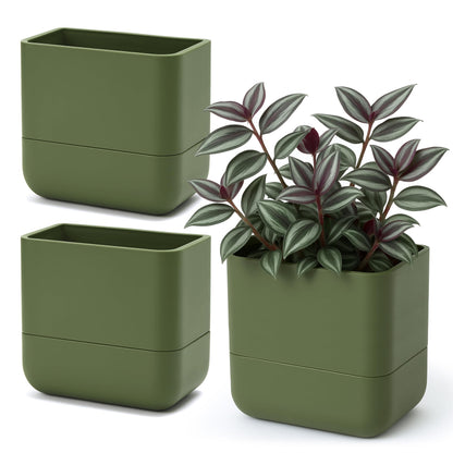 Phoenix Vine 6.5 Inch Wall Mounted Self-Watering Planter Pot for Indoor Houseplants and Herbs | Hanging Planter for Window Sills, Bathroom Walls, Home & Office Décor, Olive, Set of 3, 01-C-F-3