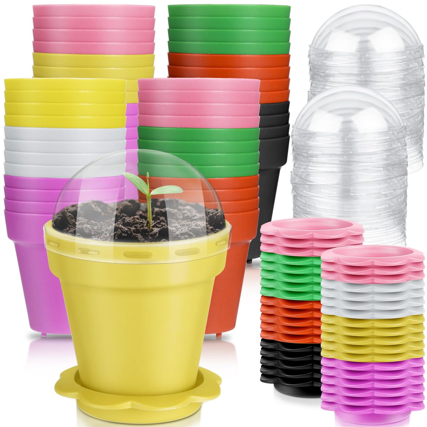 Domensi 80 Pcs 3" Cupcake Plant Nursery Pots with Humidity Dome and Saucer Small Plastic Gardening Pot Plant Containers Cups Seedling Planter Seed Starter Pots for Flower Succulent Indoor (Multicolor)