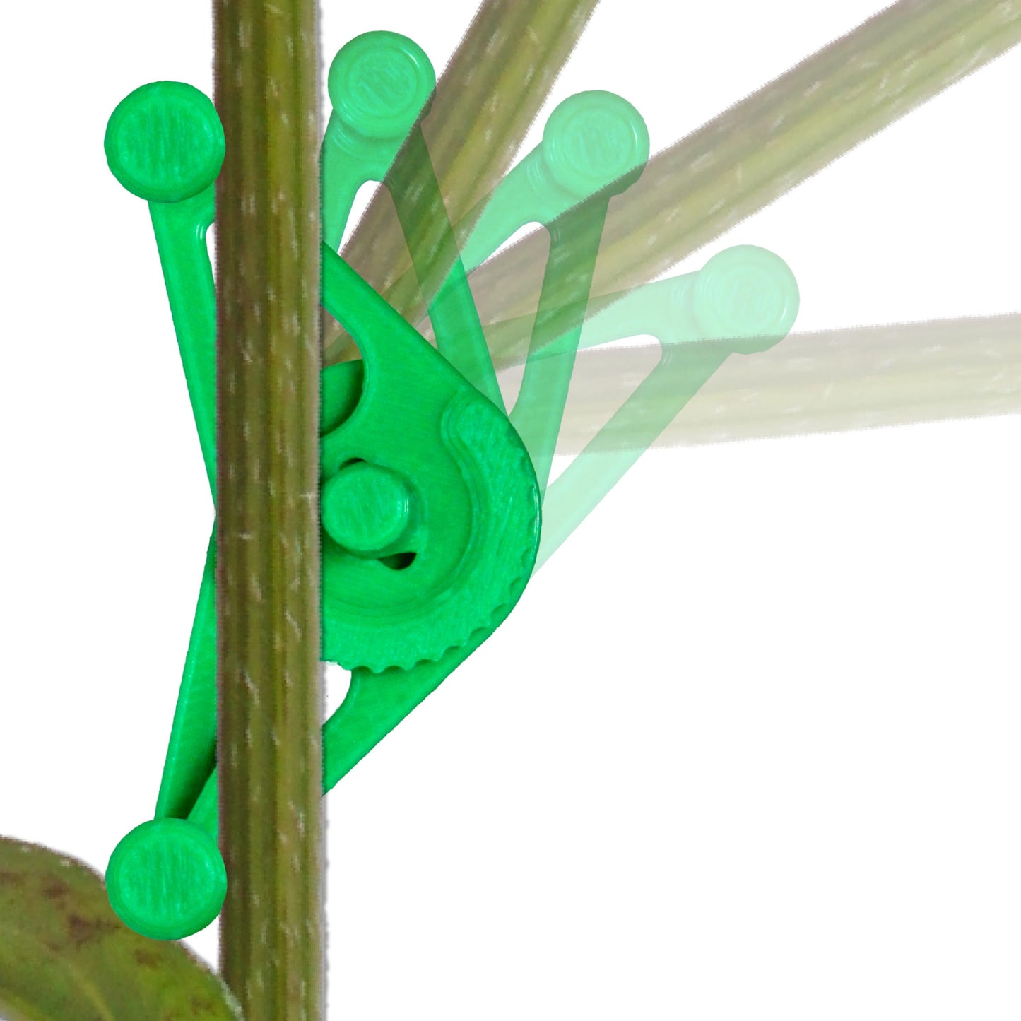 Bendies LST Plant Training Clips 50 Pack Green - v2.0 Adjustable Low Stress Green Support Clips for Stem Bending, Grow Tent, Plant Ties & Gardening Accessories
