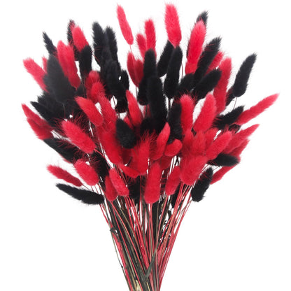 LILOCOO 120 Pcs Dried Bunny Tails Flower Red and Black Pampas Grass Flower Arrangements Bohemian Decor Home Wedding DIY Farmhouse Table Christmas Halloween (16 .9Inch)