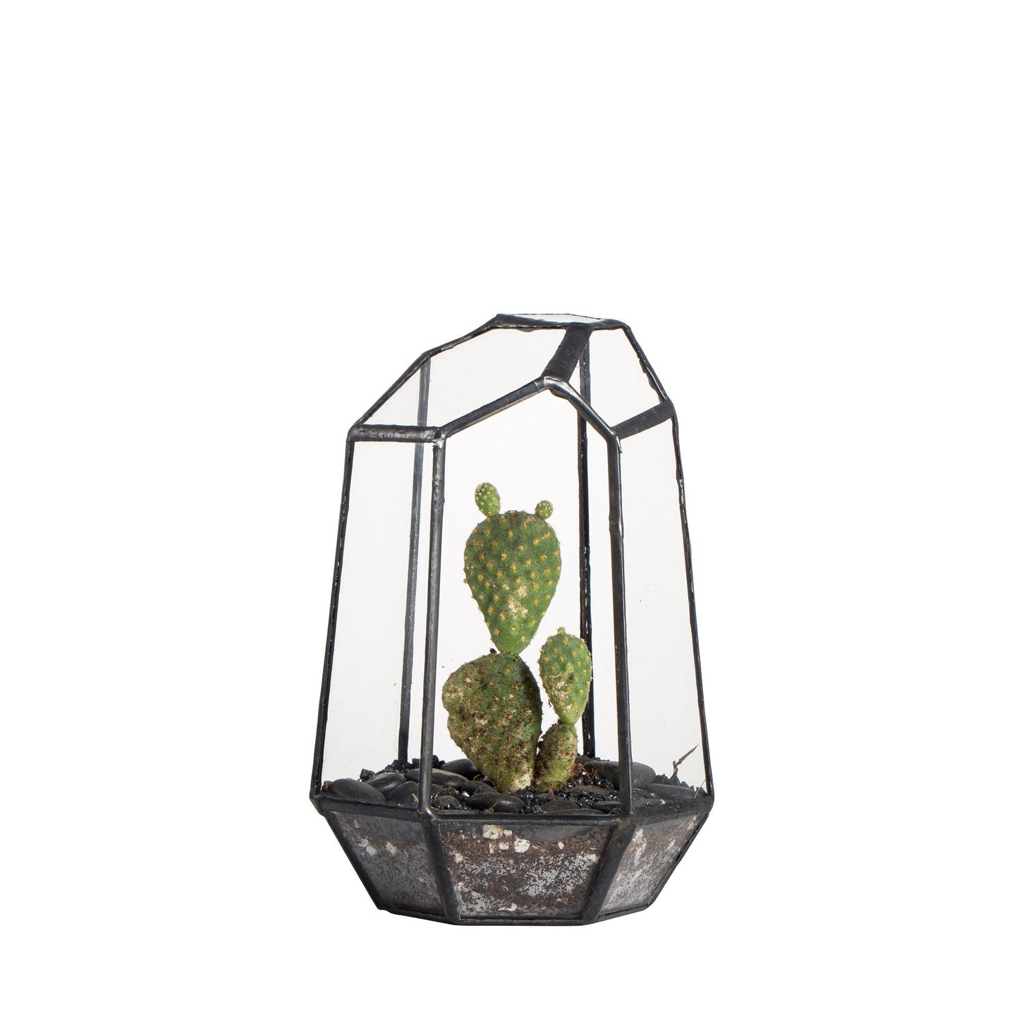 NCYP Small No Door Geometric Terrarium - 4.1" x 3.5" x 5.9" Miniature Irregular Glass Terrarium Planter for Mini Succulent Air Plants - Tabletop Garden Container, Black (No Plants)